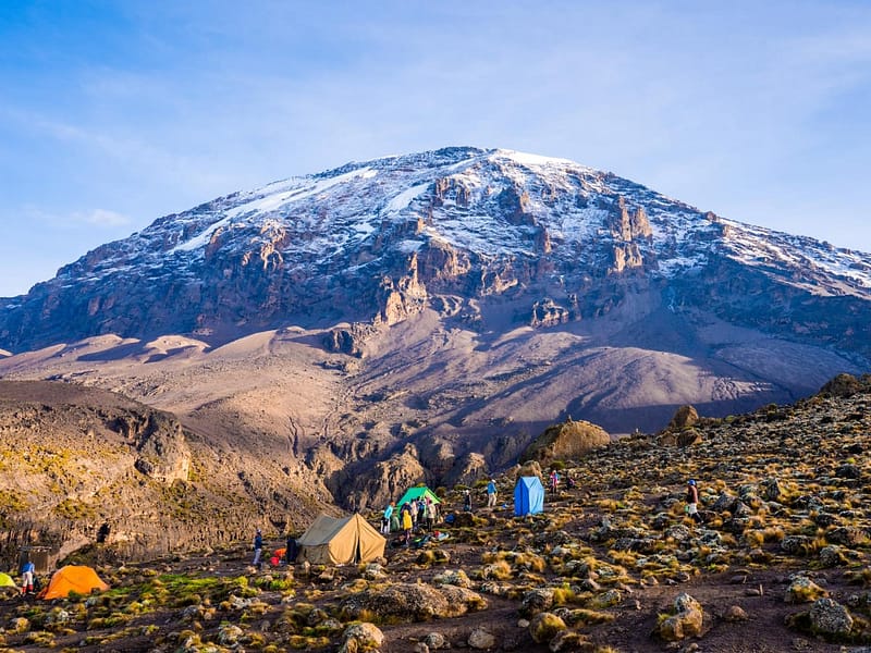 6-Days Kilimanjaro Views & Wild West Safari