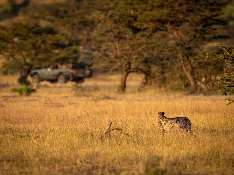 10-Days Tanzania Safari & Zanzibar Beach Holiday