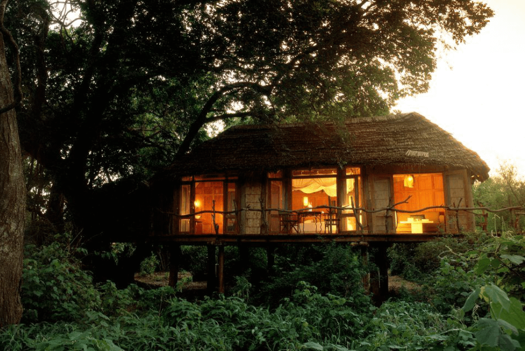 Lake Manyara Tree Lodge - Luxury safari lodge in Lake Manyara National Park