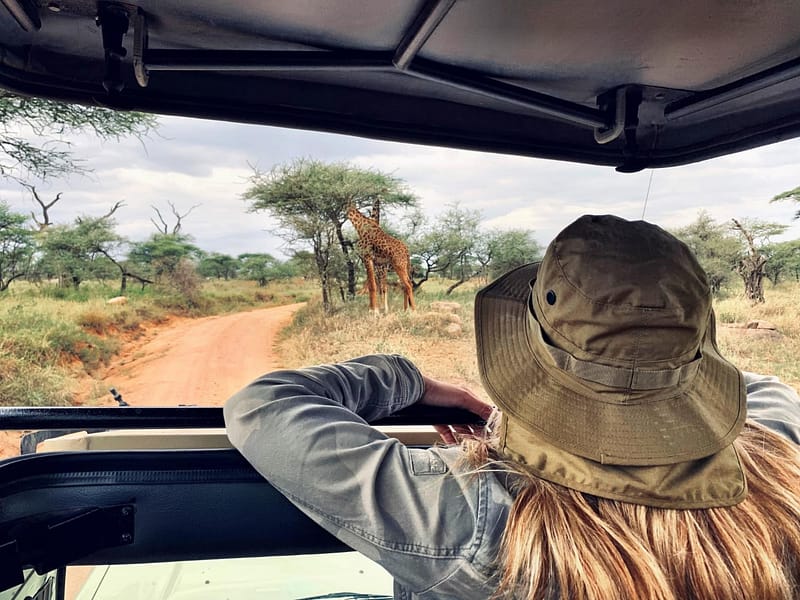 The Best Time to Visit Tanzania: A Month-by-Month Breakdown