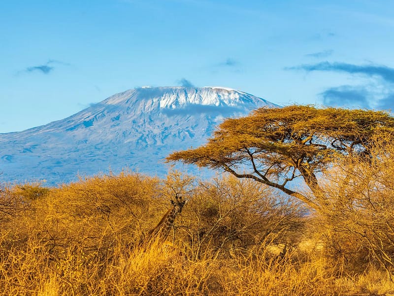 Mount Kilimanjaro