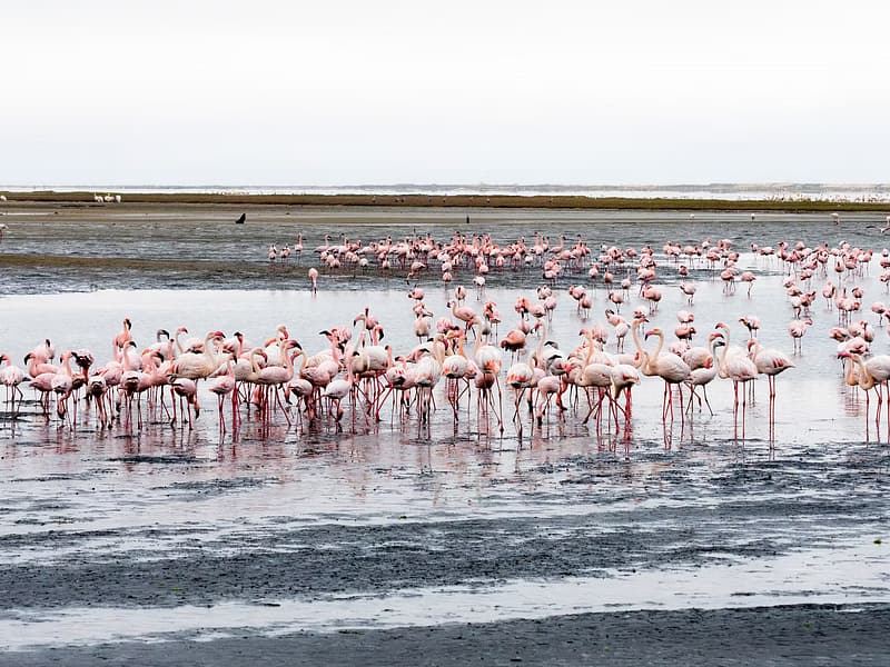Arusha National Park