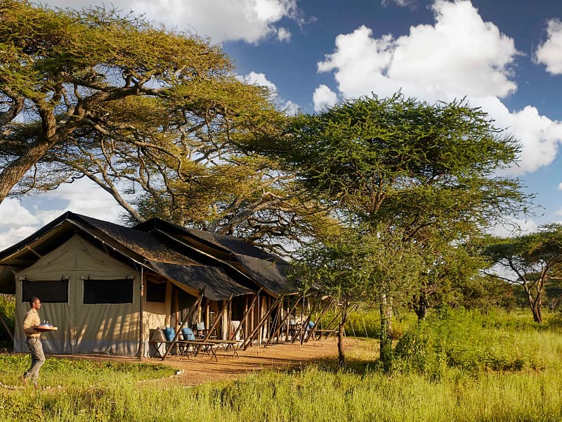 Legendary Songa Migrational Camp – North