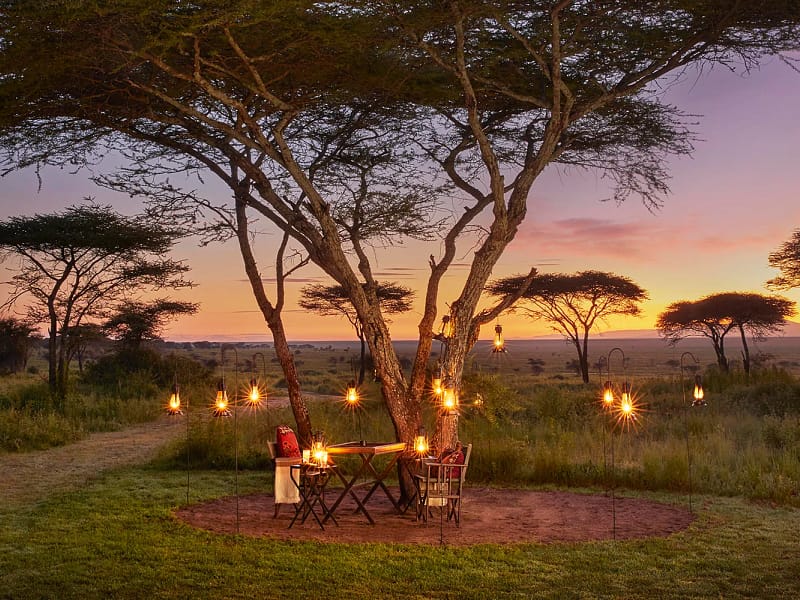 Legendary Songa Migrational Camp – South