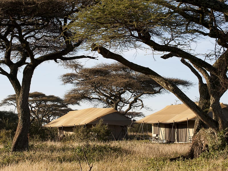 Ndutu Under Canvas