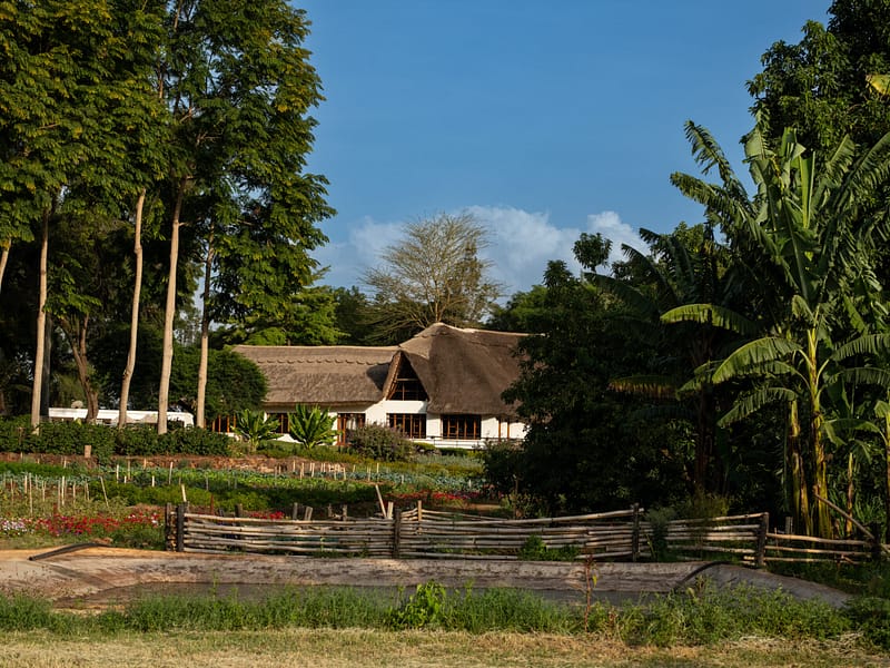 Ngorongoro Farm House