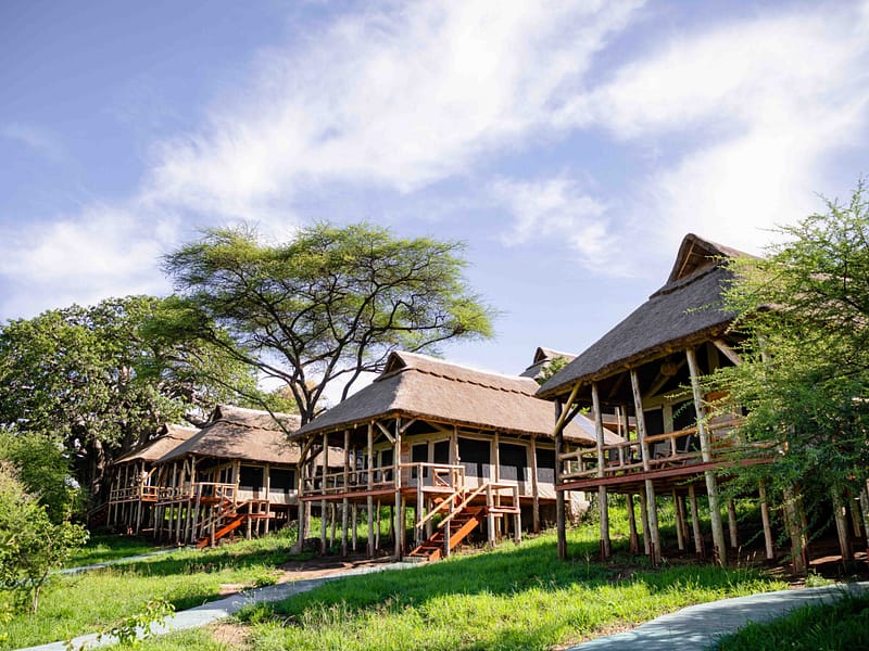 Sangaiwe Mbuyu Tented Lodge