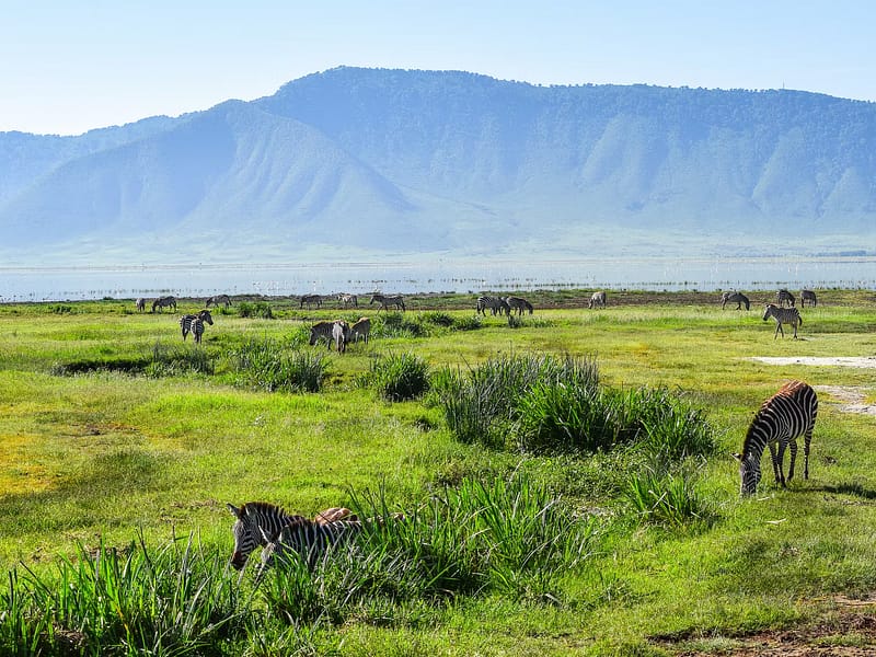 Ngorongoro Conservation Area