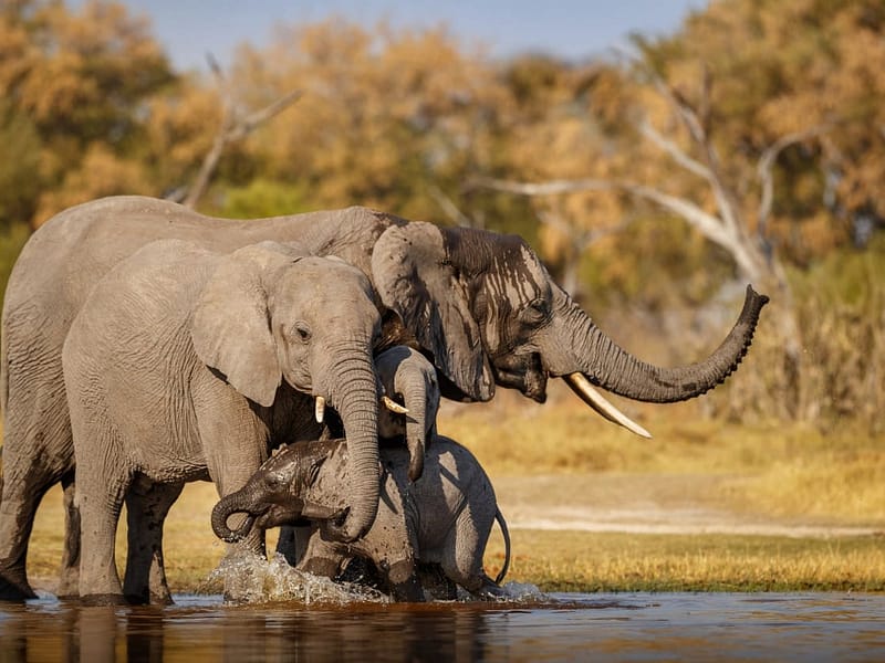 8-Days Best of Tanzania Safari
