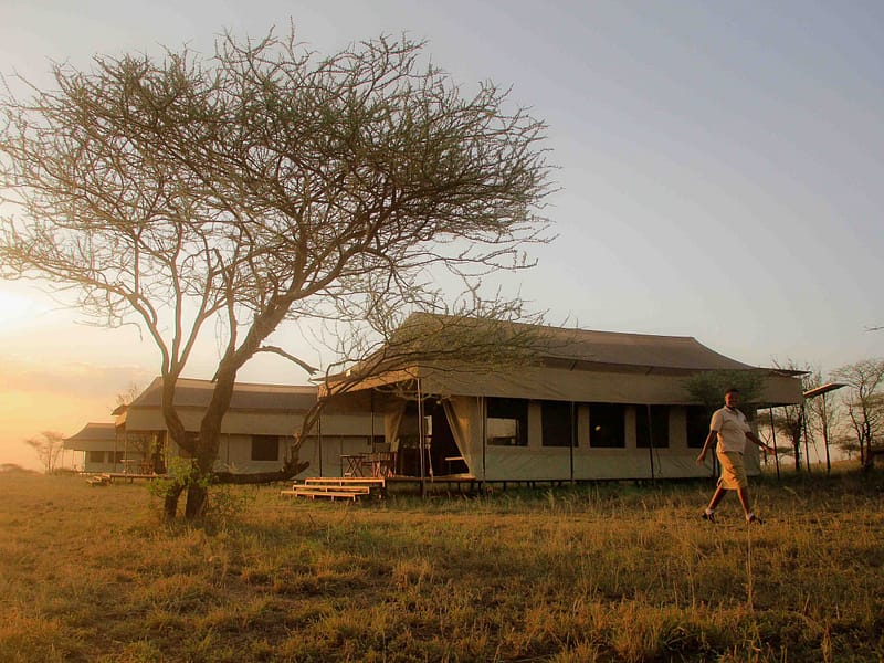 Hippo Trails Camp