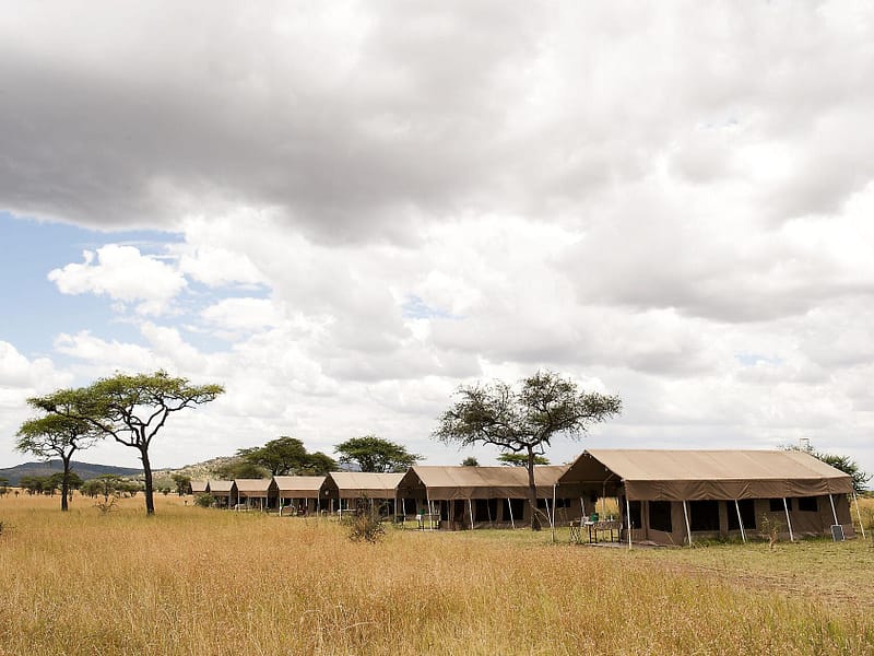 Ndutu Kati Kati