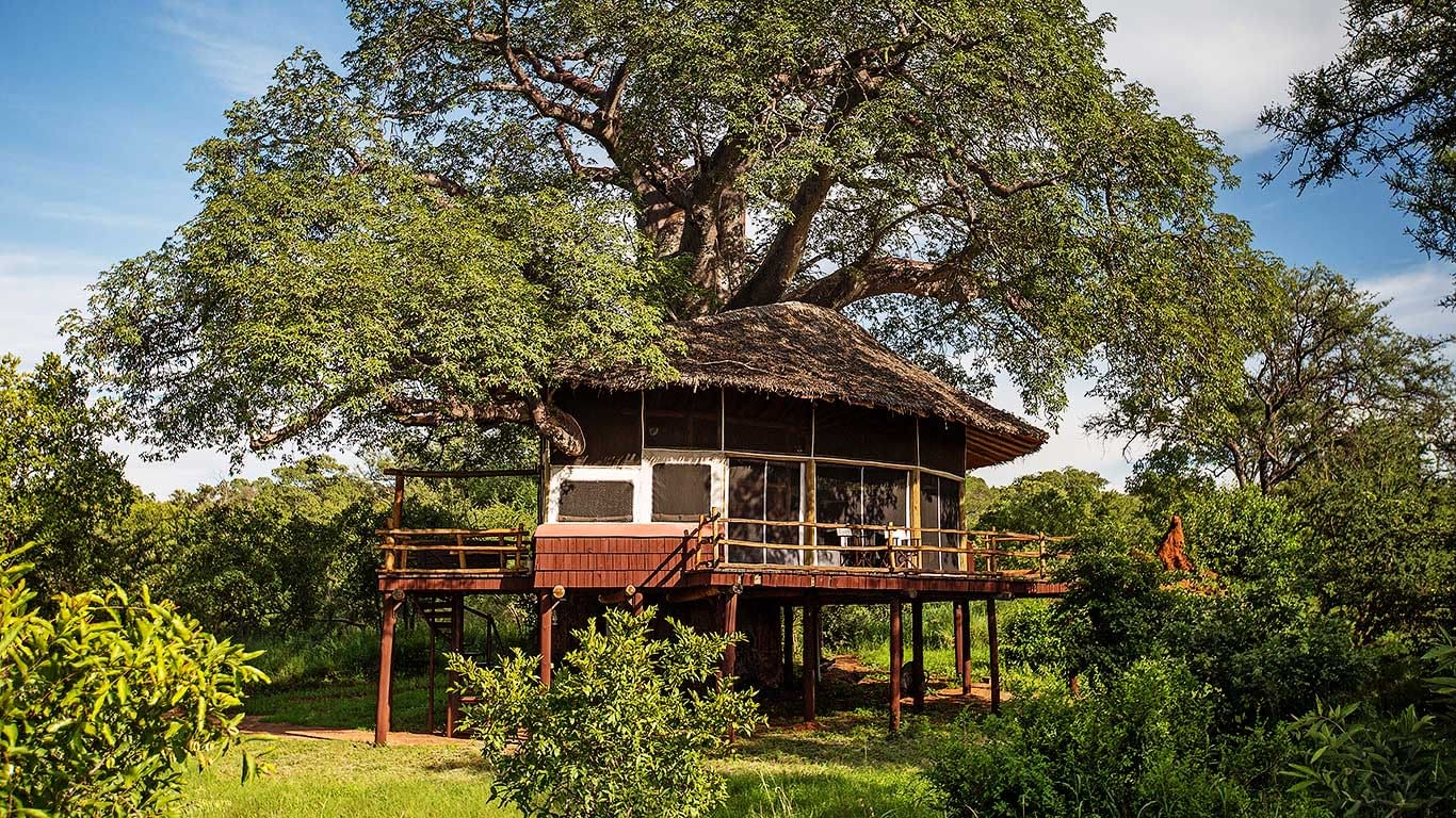 Tarangire Treetops by Elewana - Luxury safari lodge in Tarangire National Park