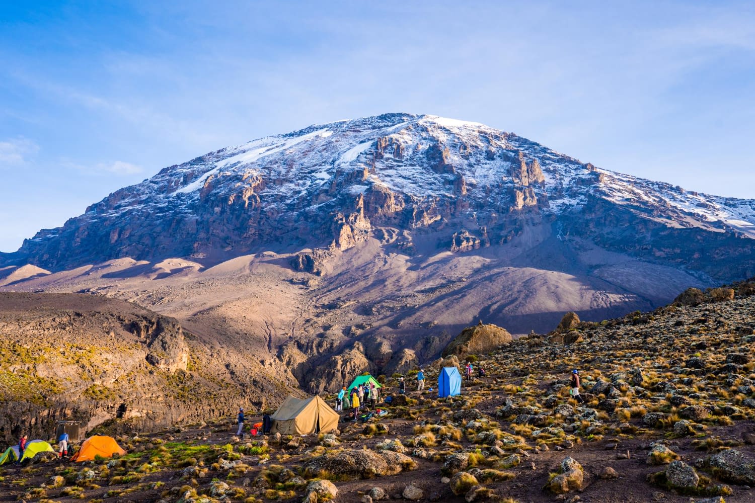 12 Days Kilimanjaro Climb & Safari - Summit & Serengeti (Luxury) - Wildlife and family safari adventures in Tanzania