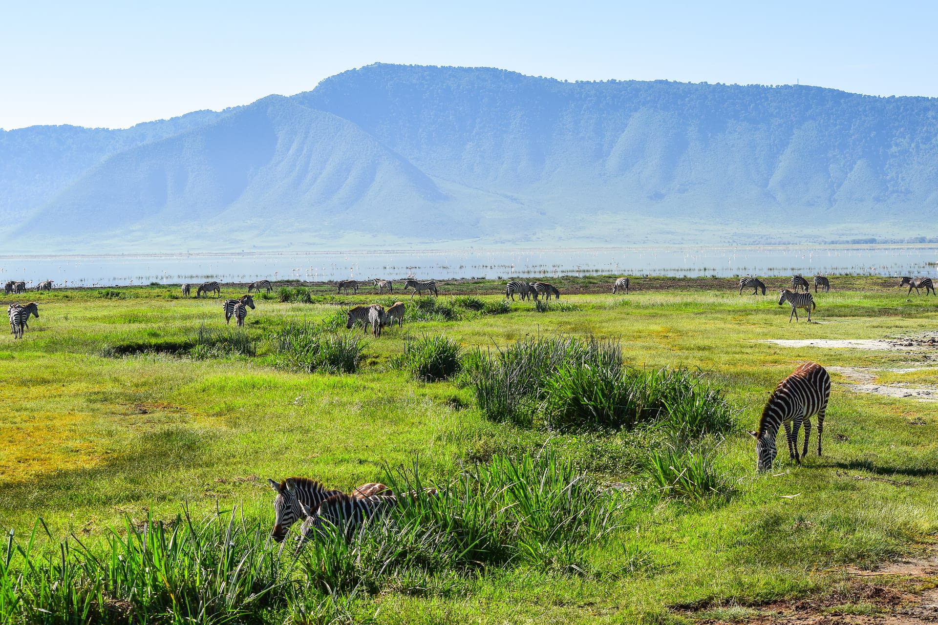 Ngorongoro Conservation Area