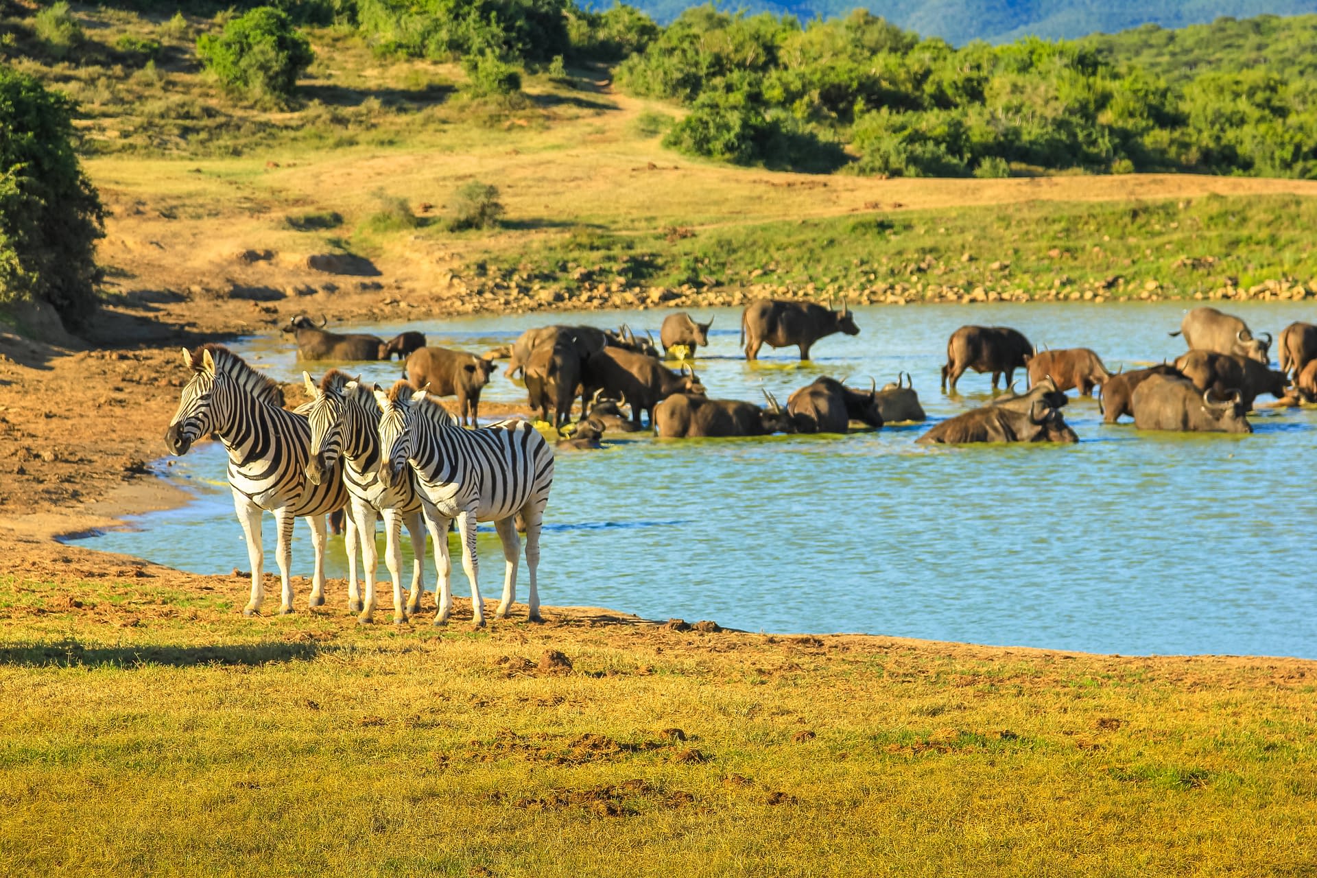 Lake Manyara National Park