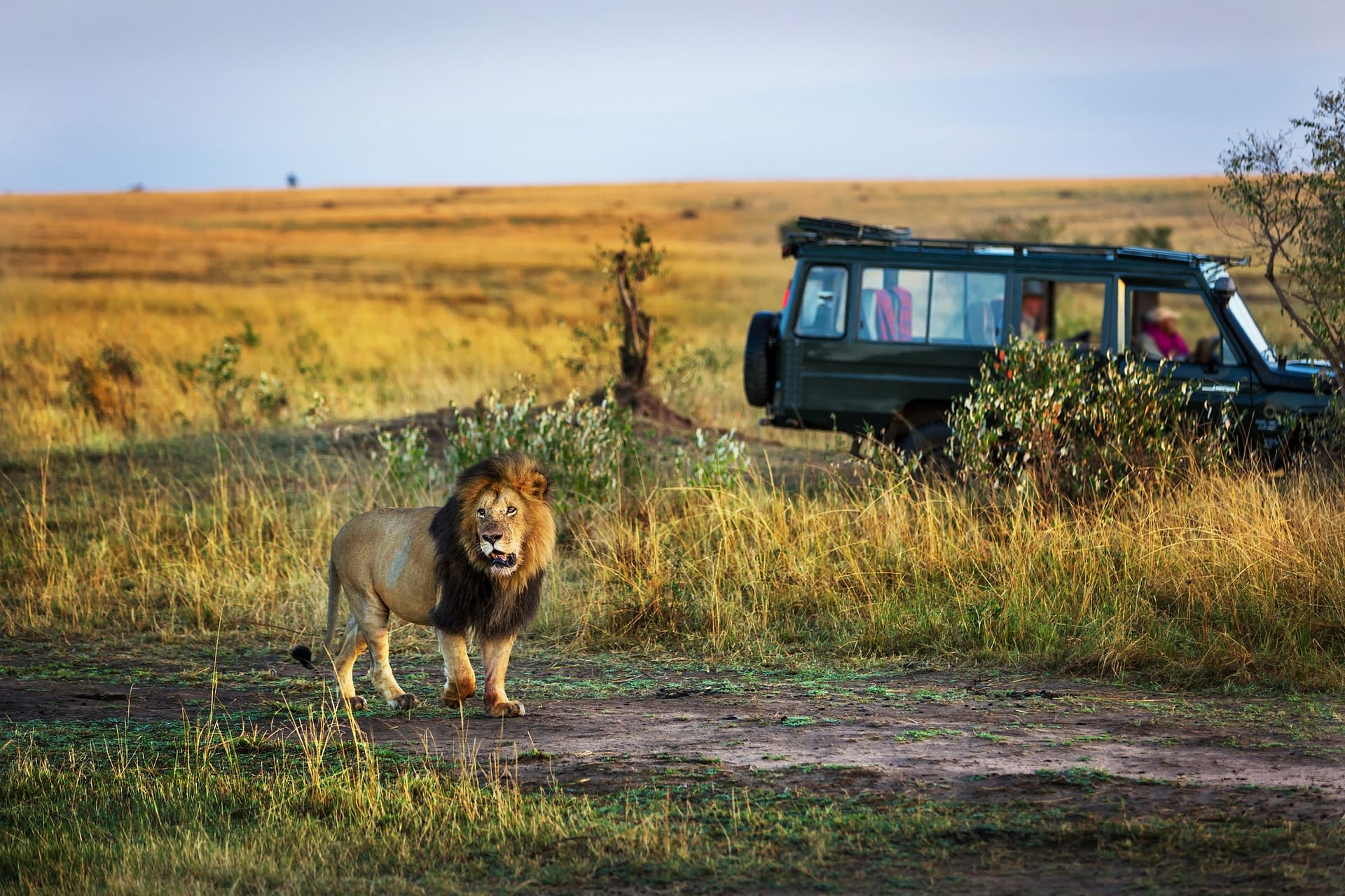 Serengeti National Park