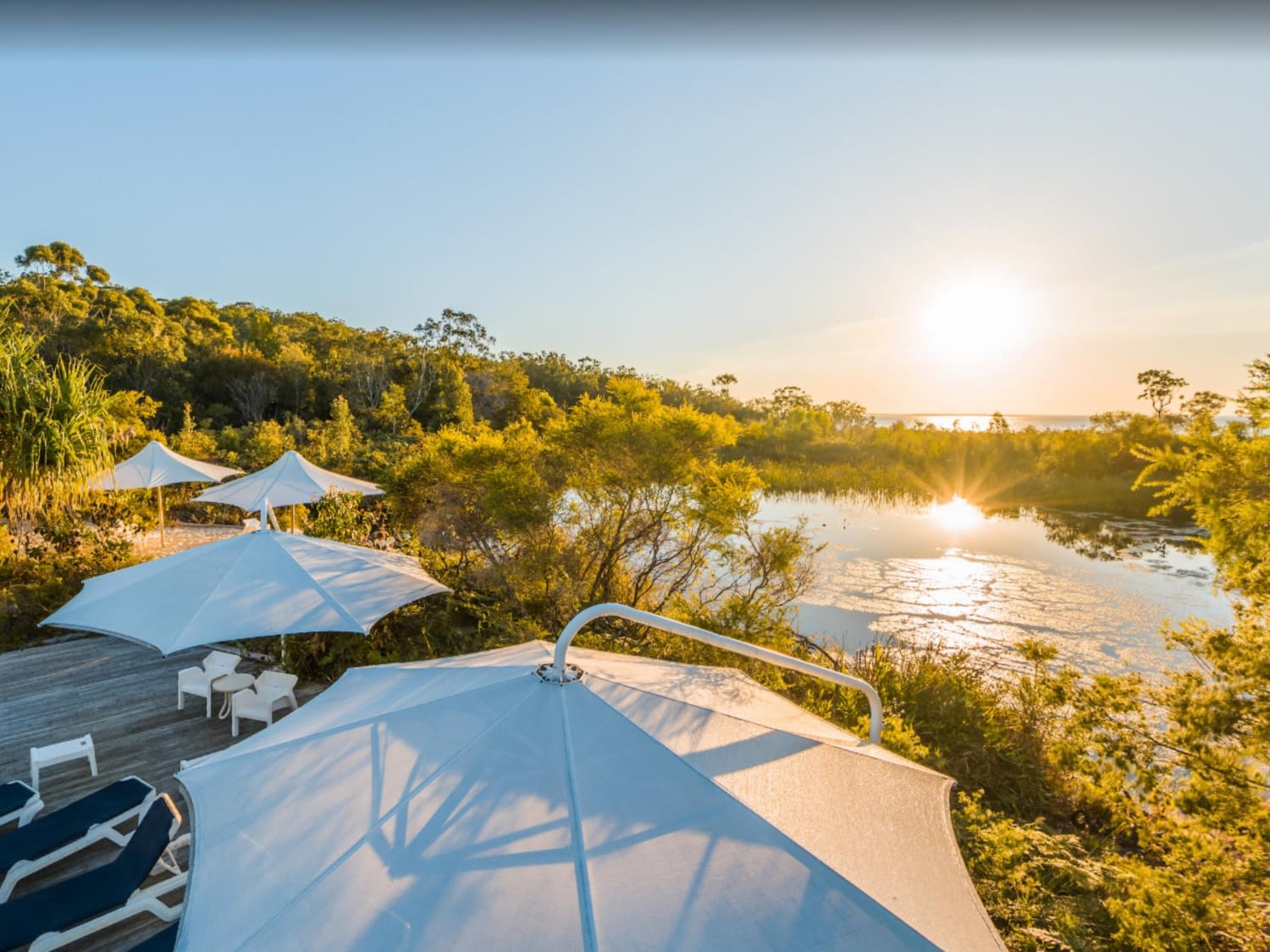 Luxury Safari Accommodations - Safari destination